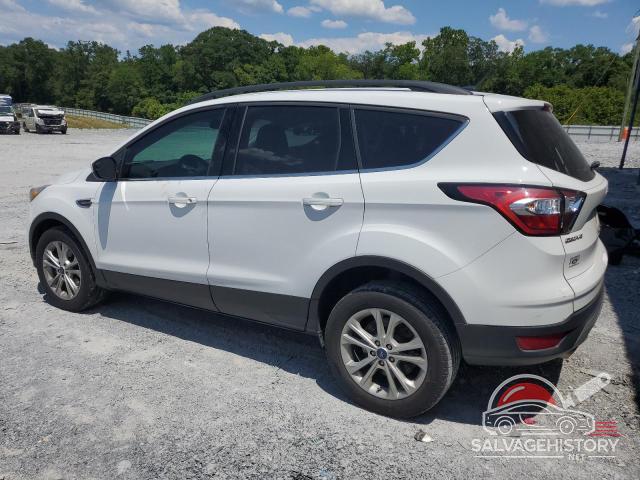 1FMCU0GD5HUD48516 2017 FORD ESCAPE photo no. 2