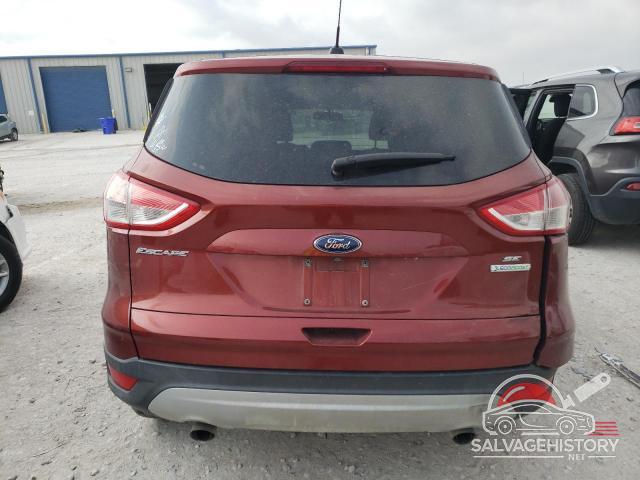 1FMCU0GX0EUE51364 2014 FORD ESCAPE photo no. 6
