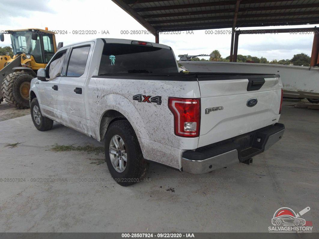 1FTEW1E87FKD06523 2015 FORD F-150 photo no. 3