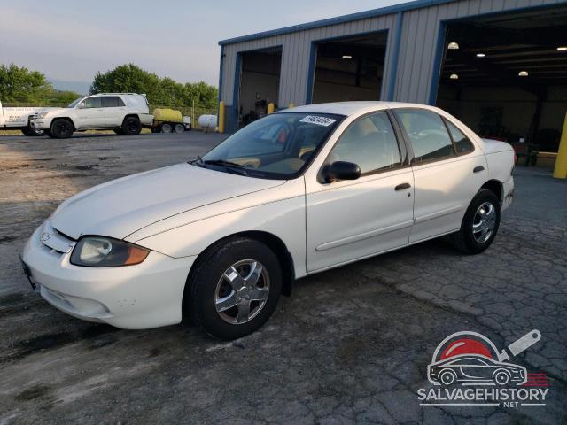 1G1JC52F837247765 2003 CHEVROLET CAVALIER photo no. 12