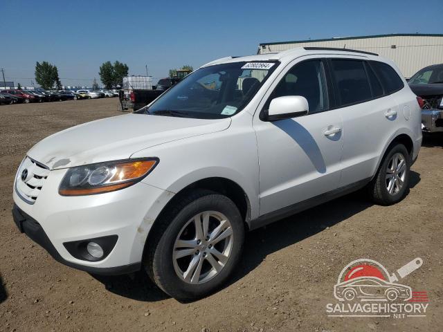 5NMSGDAG8AH406973 2010 HYUNDAI SANTA FE photo no. 6