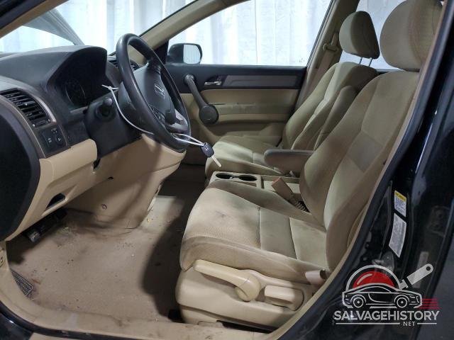 5J6RE48598L009204 2008 HONDA CRV photo no. 7