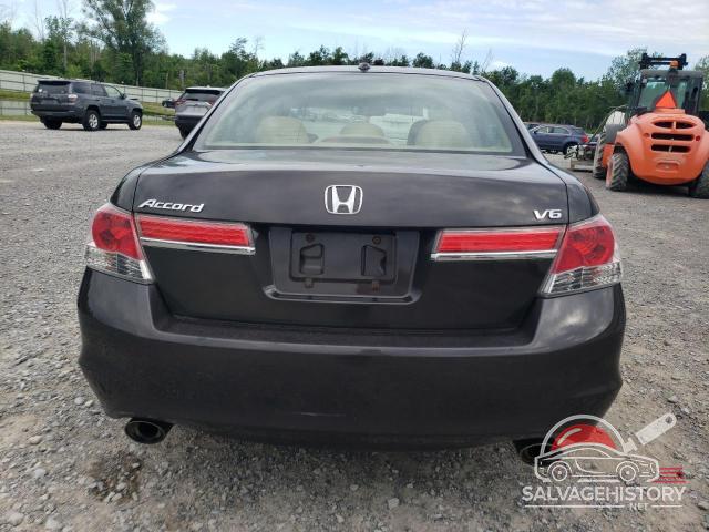 1HGCP3F85BA025790 2011 HONDA ACCORD photo no. 6