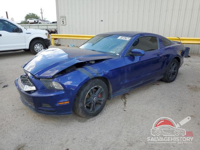 1ZVBP8AM7E5275344 2014 FORD ALL Models photo no. 17