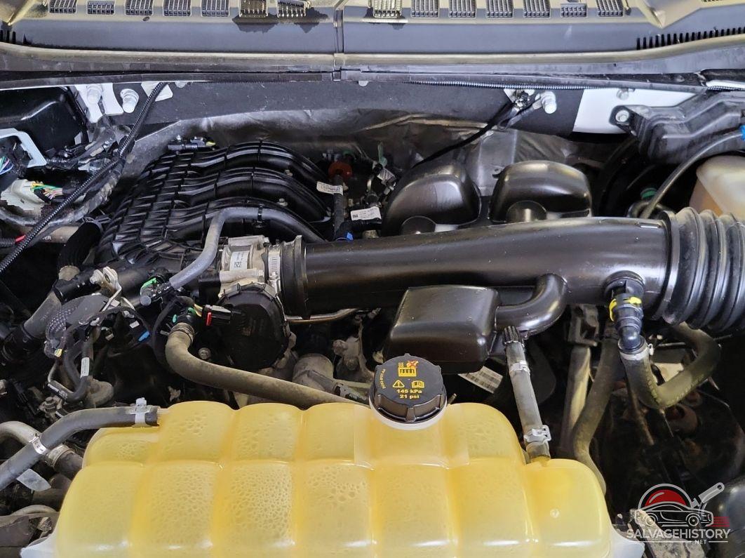 1FTEX1EB5KKD84995 2019 FORD F-150 photo no. 2