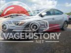 5NPD84LF6HH020236 2017 HYUNDAI ELANTRA SE photo no. 2