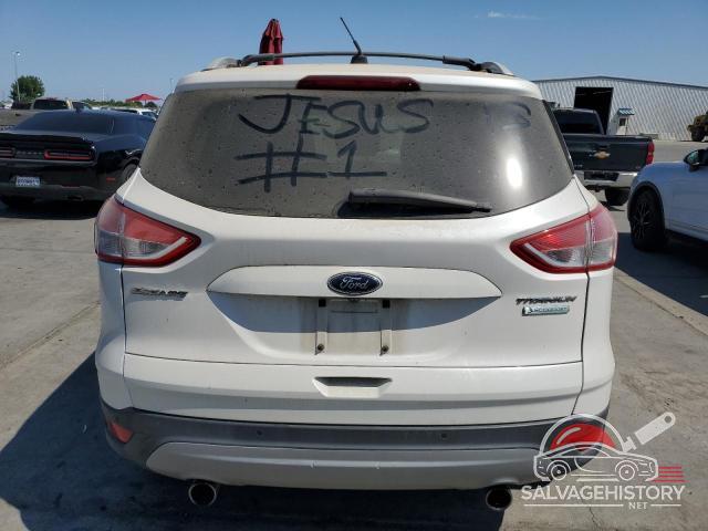1FMCU0J91DUB23704 2013 FORD ESCAPE photo no. 6