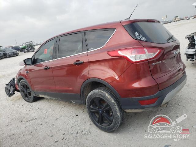 1FMCU0GX0EUE51364 2014 FORD ESCAPE photo no. 2