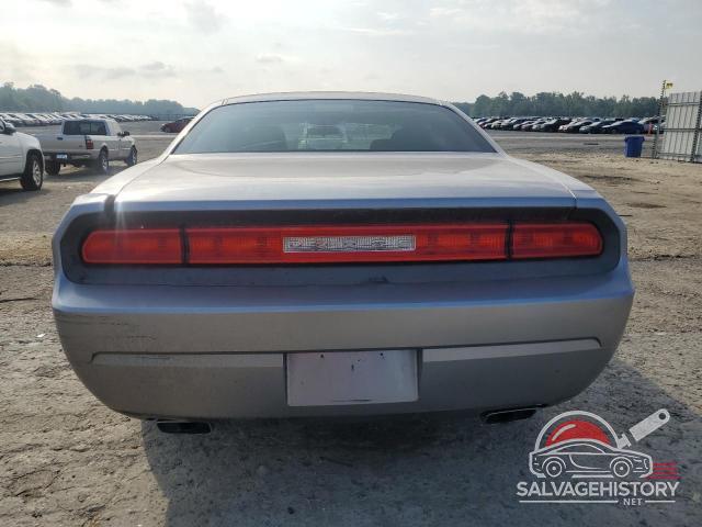 2C3CDYAG3EH269936 2014 DODGE CHALLENGER photo no. 6