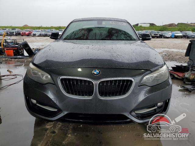 WBA2F9C31HV983929 2017 BMW 2 SERIES photo no. 5