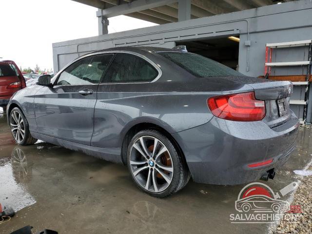 WBA2F9C31HV983929 2017 BMW 2 SERIES photo no. 2