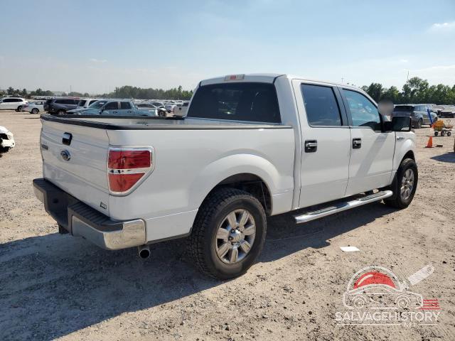 1FTFW1CV3AFD87597 2010 FORD F-150 photo no. 3
