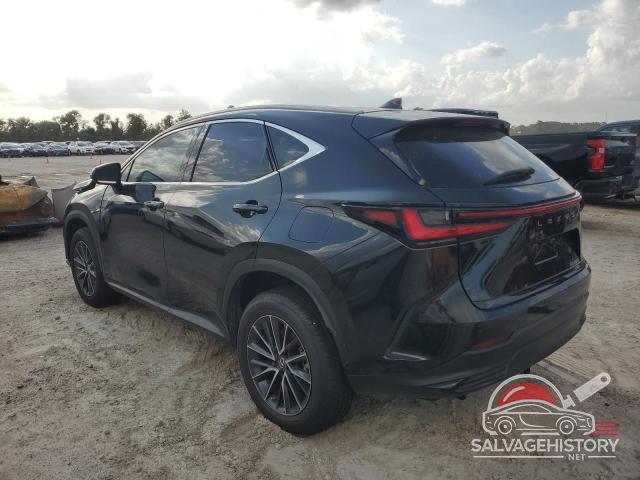 2T2GGCEZ5NC011054 2022 LEXUS NX 350 photo no. 2