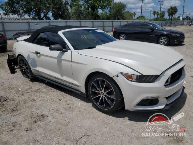 1FATP8UH2H5308282 2017 FORD ALL Models photo no. 4