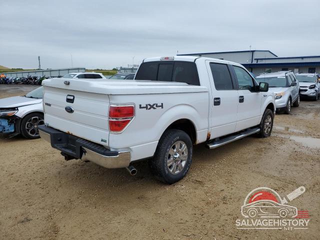 1FTFW1EV2AFD30806 2010 FORD F-150 photo no. 3