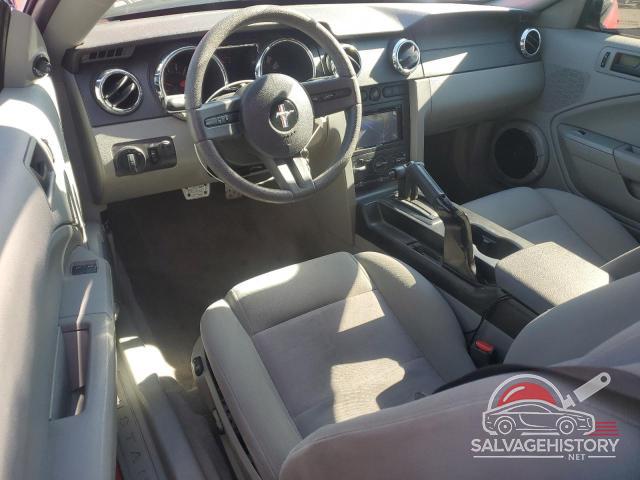 1ZVFT80N155195156 2005 FORD ALL Models photo no. 8