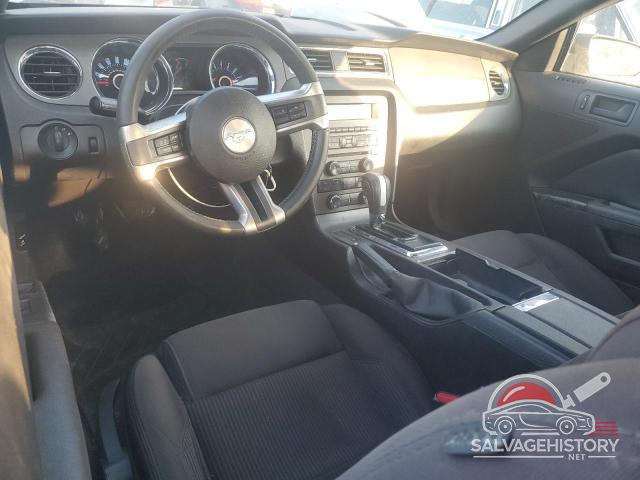 1ZVBP8EM7D5214133 2013 FORD ALL Models photo no. 8