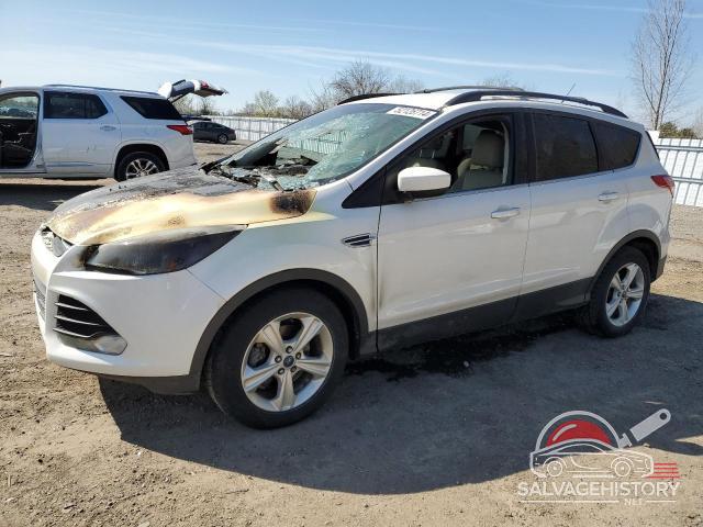 1FMCU0GX0EUC11490 2014 FORD ESCAPE photo no. 2