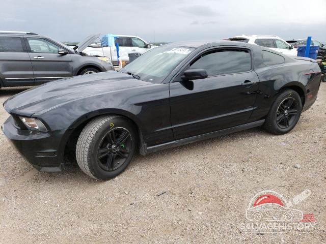 1ZVBP8AM8C5252362 2012 FORD ALL Models photo no. 6