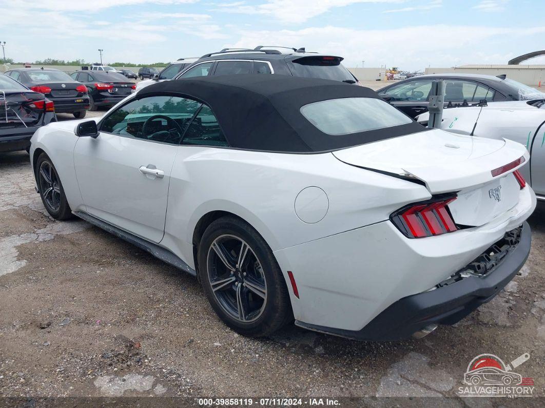 1FAGP8UH6R5105978 2024 FORD MUSTANG photo no. 3