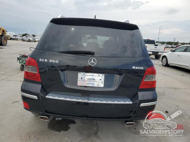 WDCGG8HB5AF274723 2010 MERCEDES-BENZ GLK-CLASS photo no. 6