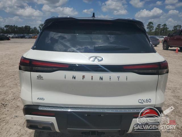 5N1DL1HU8RC352157 2024 INFINITI QX60 AUTOG photo no. 6