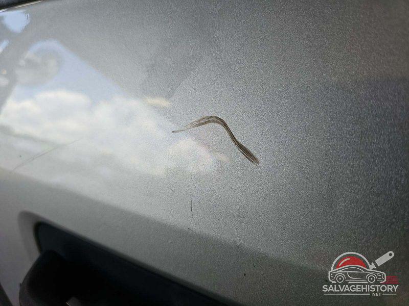 1FTMF1C86HKD02657 2017 FORD F-150 photo no. 2