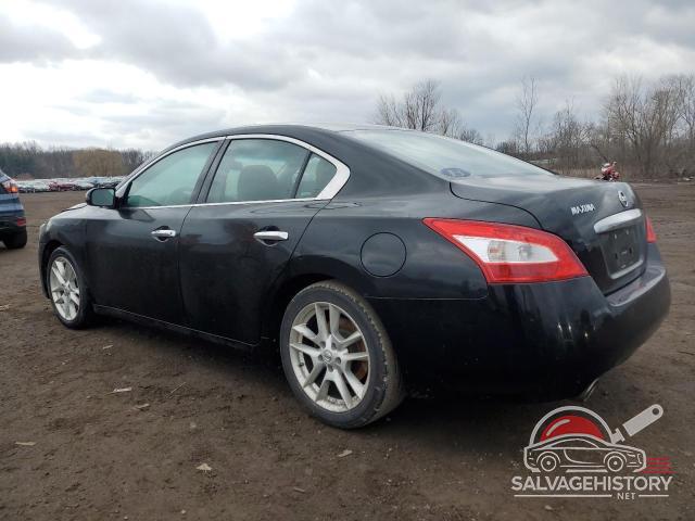 1N4AA5AP7BC835143 2011 NISSAN MAXIMA photo no. 2