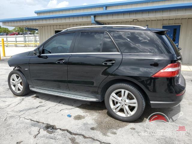 4JGDA5HB0CA032202 2012 MERCEDES-BENZ M-CLASS photo no. 2