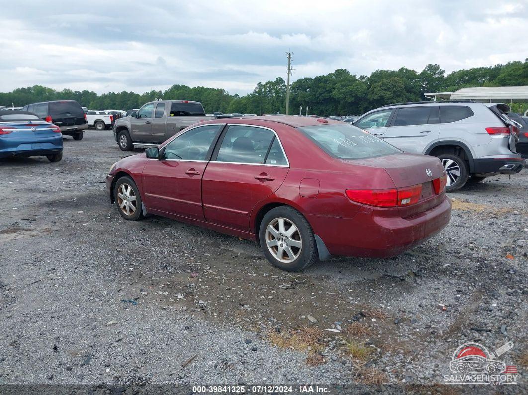 1HGCM66545A040771 2005 HONDA ACCORD photo no. 3
