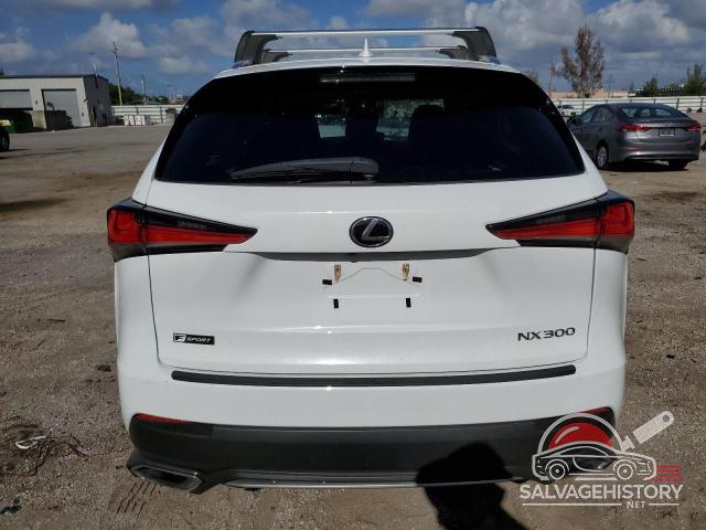 JTJSARBZ0M2194722 2021 LEXUS NX photo no. 6