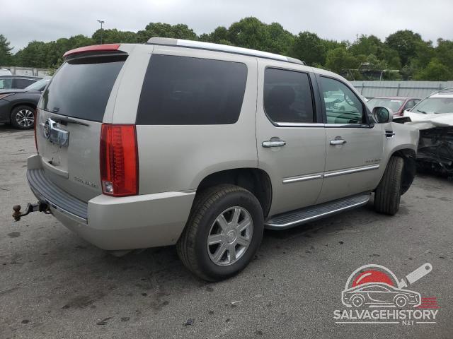 1GYFK13219R100750 2009 CADILLAC ESCALADE photo no. 3