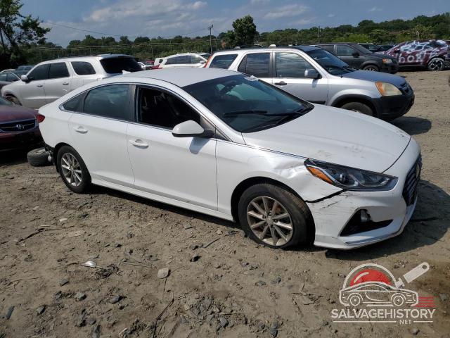 5NPE24AF4KH766376 2019 HYUNDAI SONATA photo no. 4
