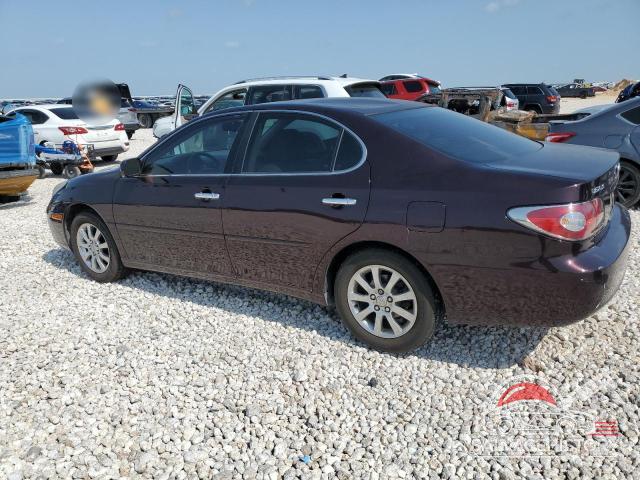 JTHBA30G240018797 2004 LEXUS ES330 photo no. 2