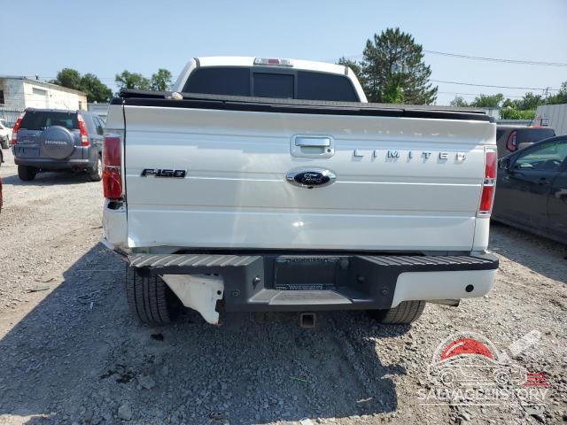 1FTFW1ET1EFA57569 2014 FORD F-150 photo no. 6