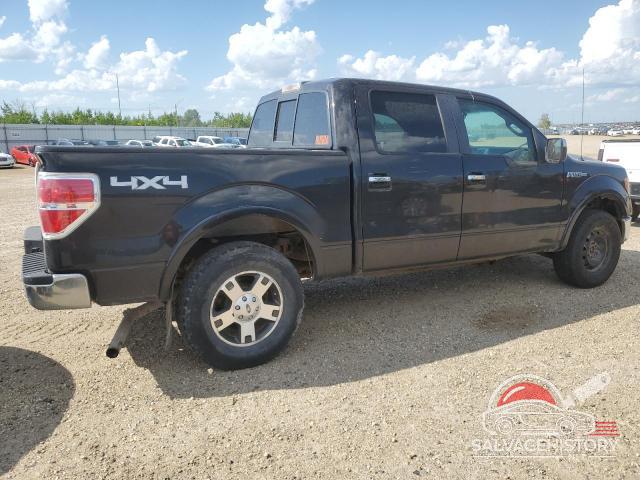 1FTFW1EV3AFC08424 2010 FORD F-150 photo no. 3