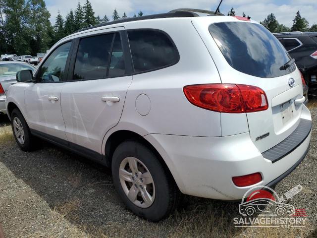 5NMSG13D29H318871 2009 HYUNDAI SANTA FE photo no. 2