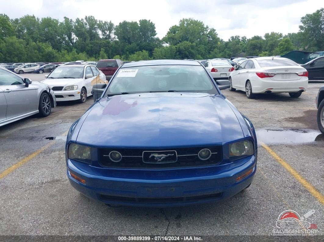 1ZVFT80N165187687 2006 FORD MUSTANG photo no. 6