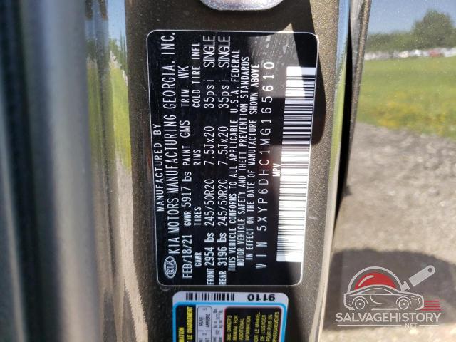 5XYP6DHC1MG165610 2021 KIA TELLURIDE photo no. 13