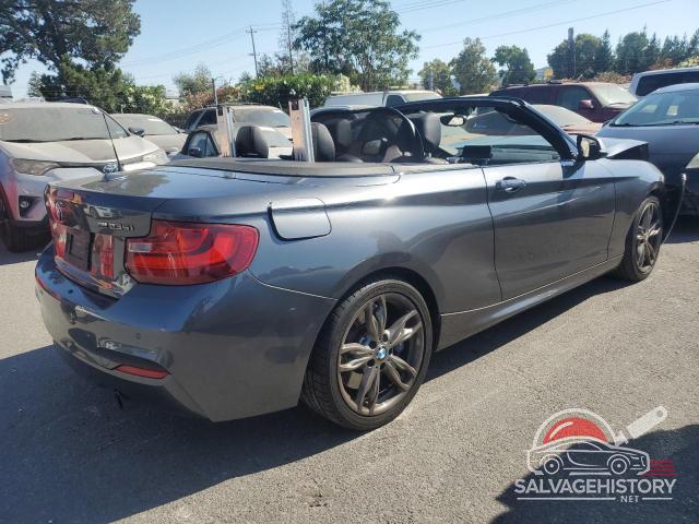 WBA1M5C53GV326737 2016 BMW M2 photo no. 3