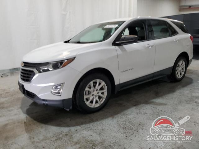 2GNAXHEV8K6114137 2019 CHEVROLET EQUINOX photo no. 8