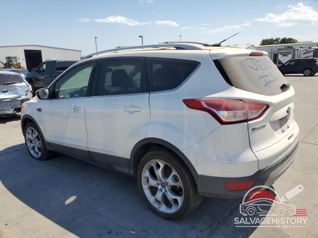 1FMCU0J91DUB23704 2013 FORD ESCAPE photo no. 2
