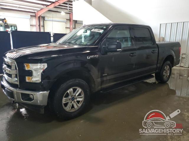1FTEW1EP8HKE53380 2017 FORD F-150 photo no. 20