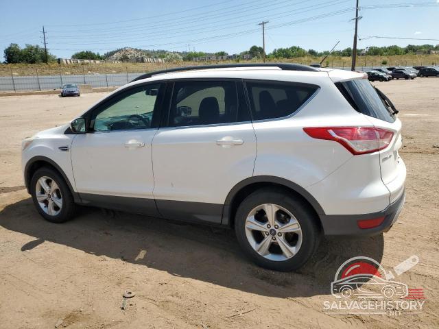 1FMCU0GX8EUC68536 2014 FORD ESCAPE photo no. 2
