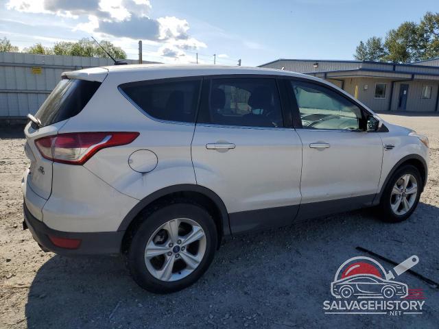 1FMCU9G96EUE14325 2014 FORD ESCAPE photo no. 3