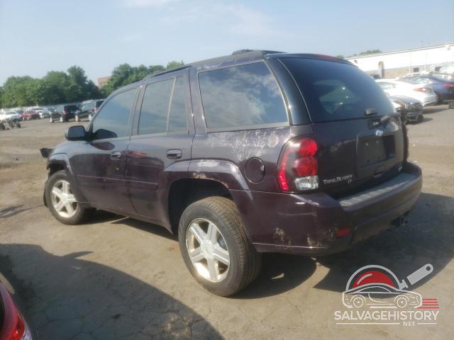 1GNDT13S082197836 2008 CHEVROLET TRAILBLZR photo no. 2