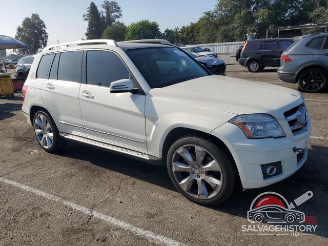 WDCGG8HB0AF316943 2010 MERCEDES-BENZ GLK-CLASS photo no. 4