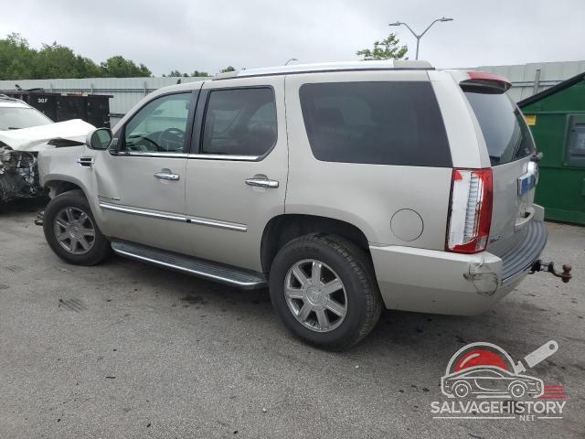 1GYFK13219R100750 2009 CADILLAC ESCALADE photo no. 2
