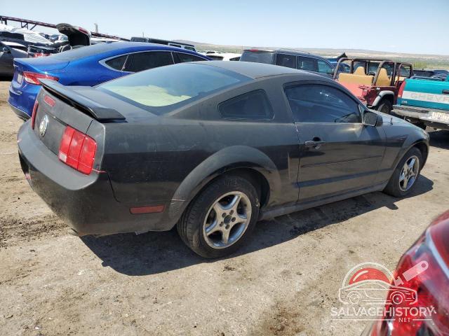 1ZVFT80N765189220 2006 FORD ALL Models photo no. 3