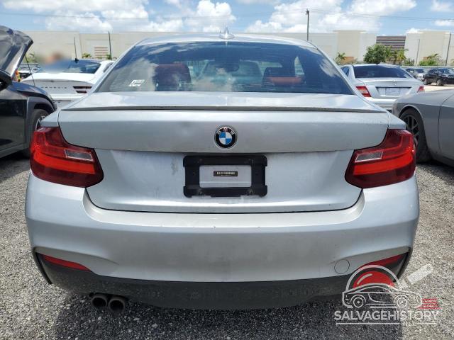 WBA1F9C53GV546509 2016 BMW 2 SERIES photo no. 6